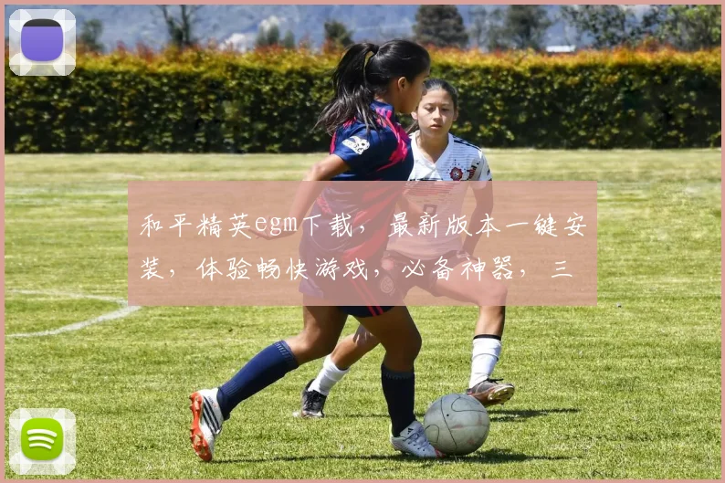 和平精英egm下载，最新版本一键安装，体验畅快游戏，必备神器，三步轻松搞定，畅玩无忧，快下载吧