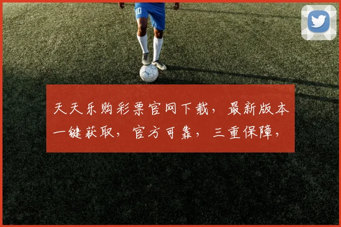 天天乐购彩票官网下载，最新版本一键获取，官方可靠，三重保障，速来体验