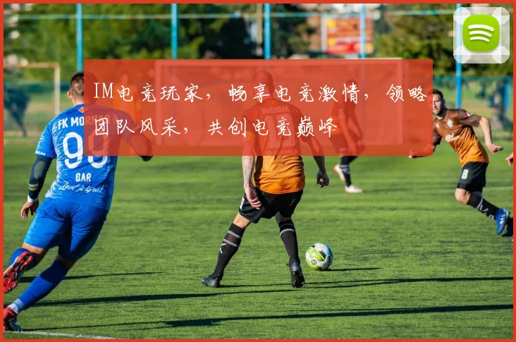 IM电竞玩家，畅享电竞激情，领略团队风采，共创电竞巅峰