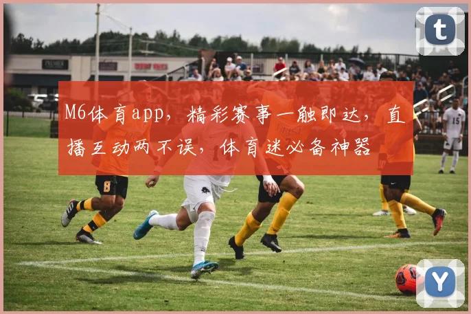 M6体育app，精彩赛事一触即达，直播互动两不误，体育迷必备神器